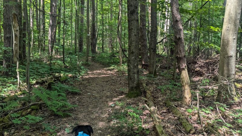 Galway Nature Preserve - Galway, NY