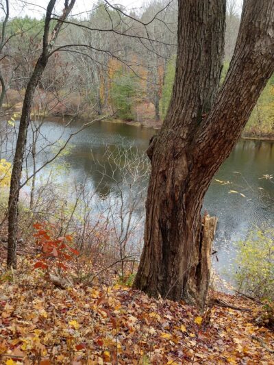 Galway Nature Preserve - Galway, NY