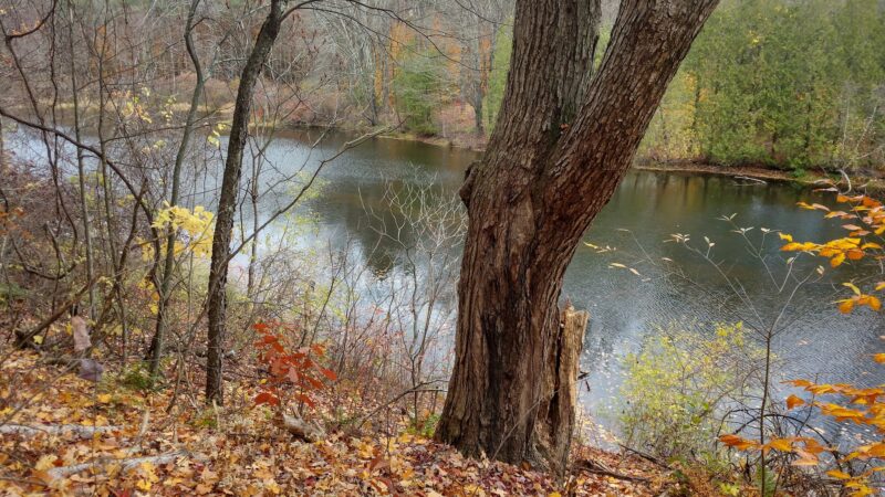 Galway Nature Preserve - Galway, NY