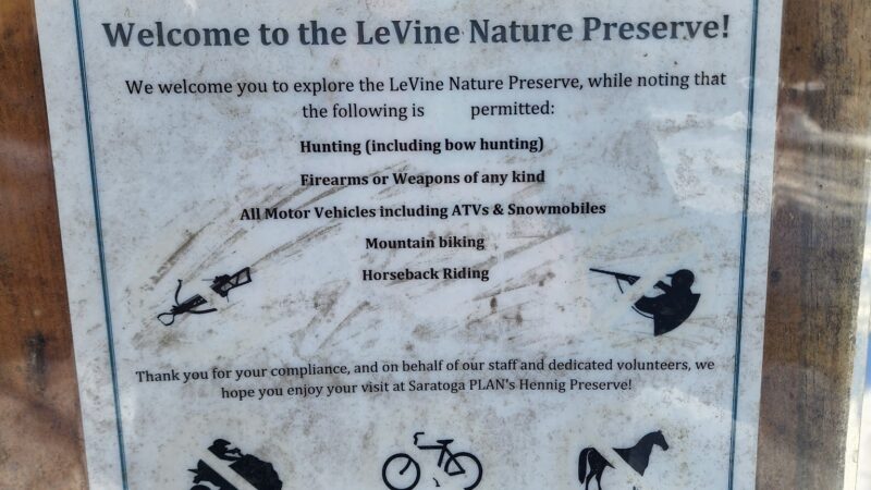 LeVine Nature Preserve - Galway, NY