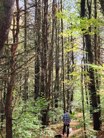 LeVine Nature Preserve - Galway, NY