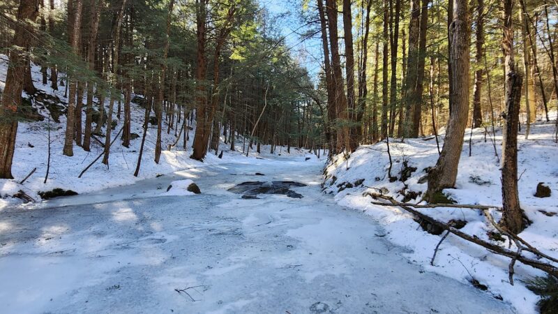 LeVine Nature Preserve - Galway, NY