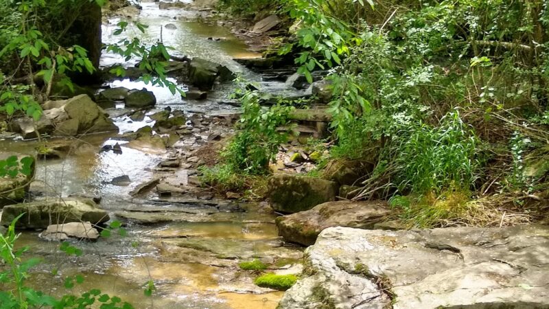 Garden City River Park - Garden City, AL