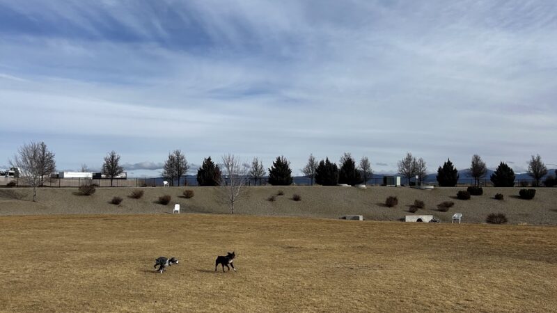 K9 Korral Dog Park - Gardnerville, NV