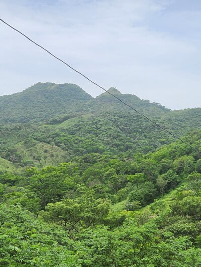 Bailey’s Backyard Dallas - Garland, TX