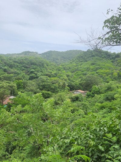 Bailey’s Backyard Dallas - Garland, TX