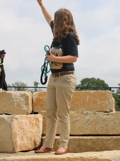 Central Dog Park - Garland, TX