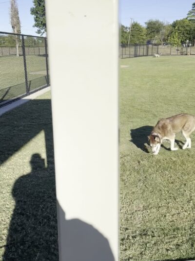 Central Dog Park - Garland, TX