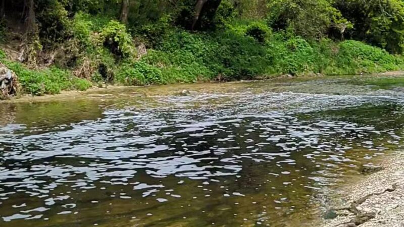 Duck Creek Park - Garland, TX