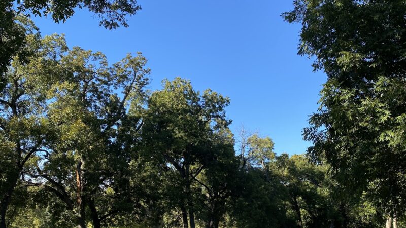 Duck Creek Park - Garland, TX