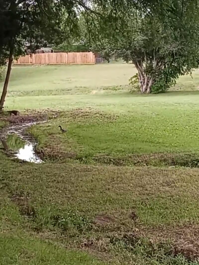 Freedom Park - Garland, TX