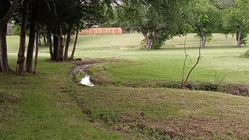 Freedom Park - Garland, TX