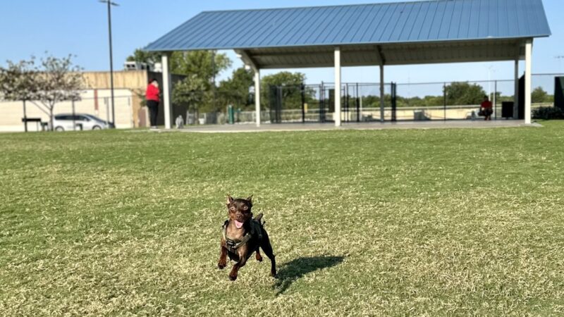Garland Dog Park - Garland, TX