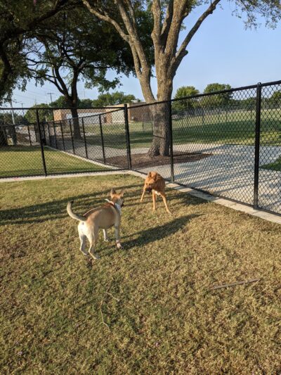 Garland Dog Park - Garland, TX