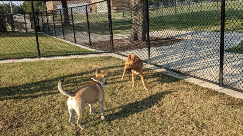 Garland Dog Park - Garland, TX