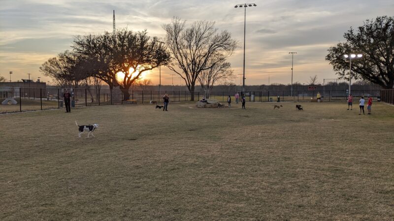 Garland Dog Park - Garland, TX