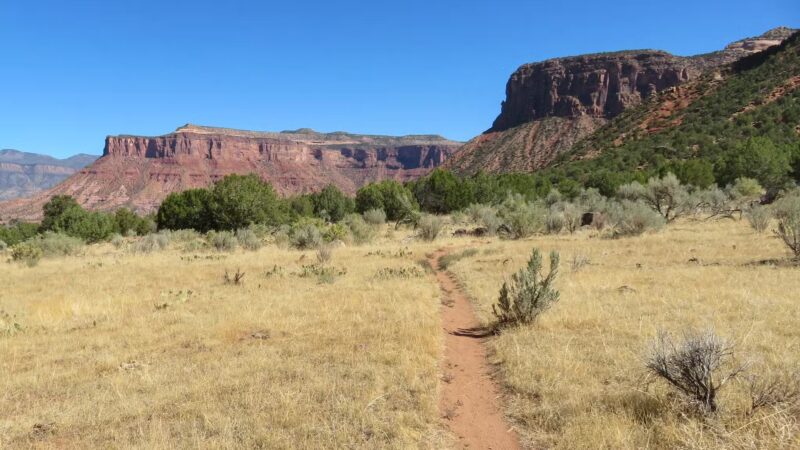 Gateway Trails, Trailhead - Gateway, CO