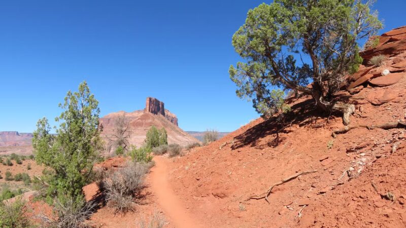 Gateway Trails, Trailhead - Gateway, CO