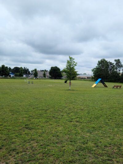 Otsego County Dog Park - Gaylord, MI