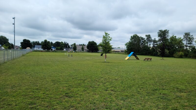 Otsego County Dog Park - Gaylord, MI