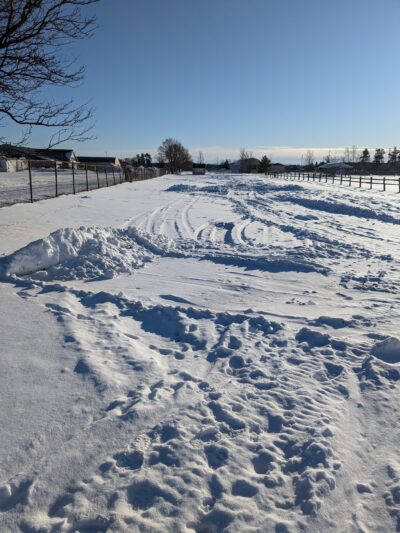 Otsego County Dog Park - Gaylord, MI