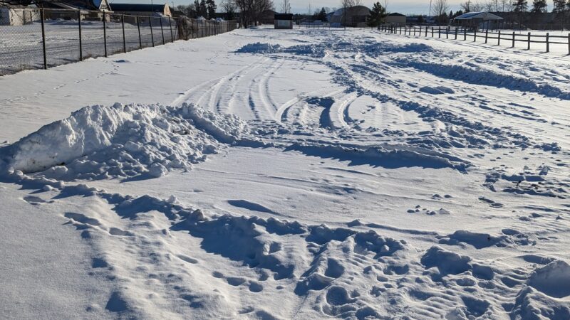 Otsego County Dog Park - Gaylord, MI