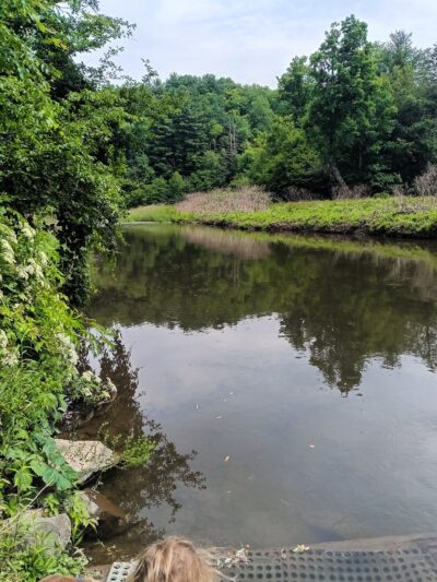 Genesee Park - Genesee, PA