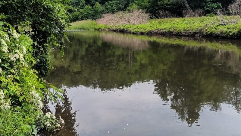 Genesee Park - Genesee, PA