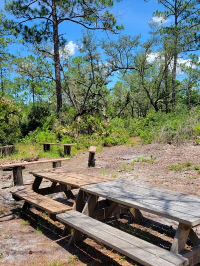 Geneva Wilderness Area - Geneva, FL