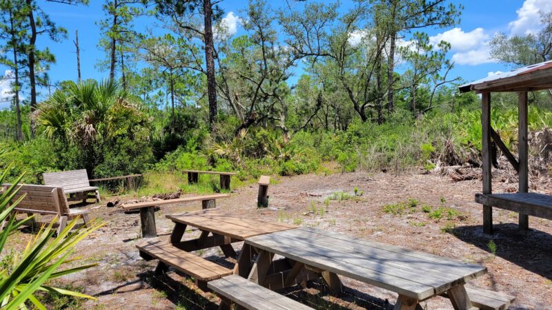 Geneva Wilderness Area - Geneva, FL