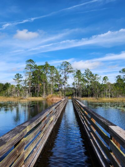 Geneva Wilderness Area - Geneva, FL