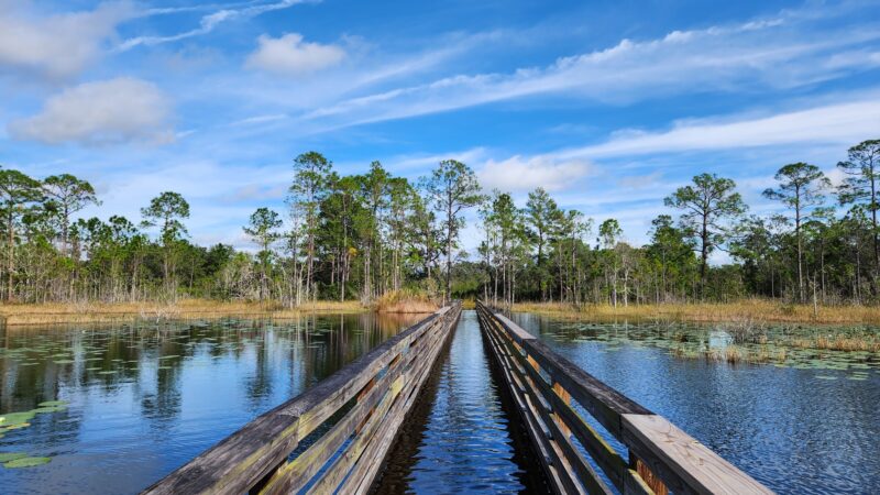 Geneva Wilderness Area - Geneva, FL
