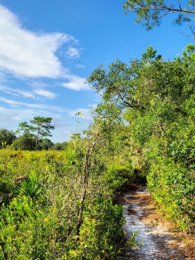 Geneva Wilderness Area - Geneva, FL