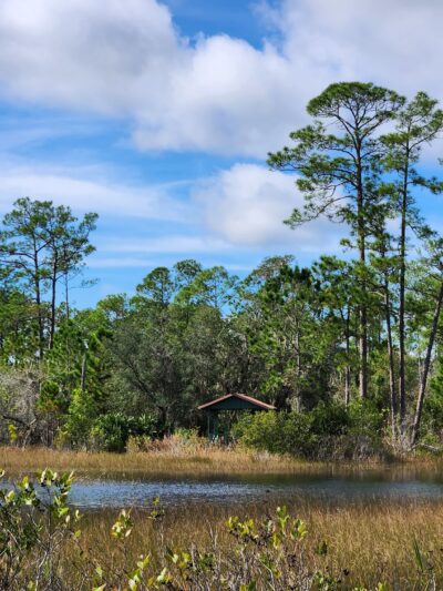 Geneva Wilderness Area - Geneva, FL