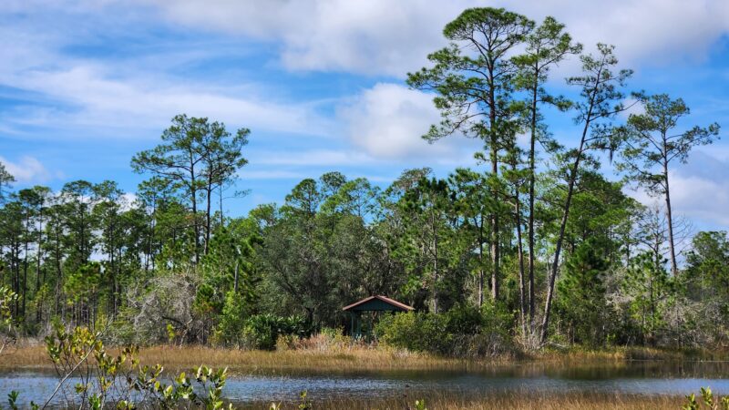 Geneva Wilderness Area - Geneva, FL