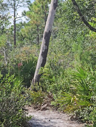 Geneva Wilderness Area Trailhead - Geneva, FL