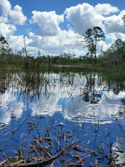 Geneva Wilderness Area Trailhead - Geneva, FL