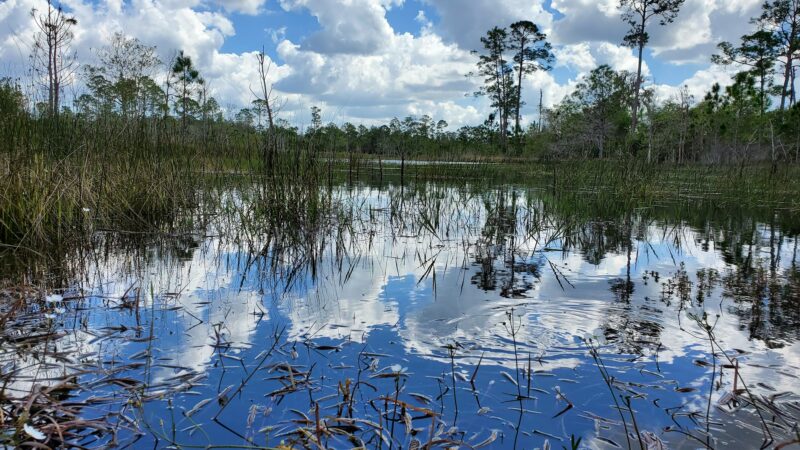 Geneva Wilderness Area Trailhead - Geneva, FL