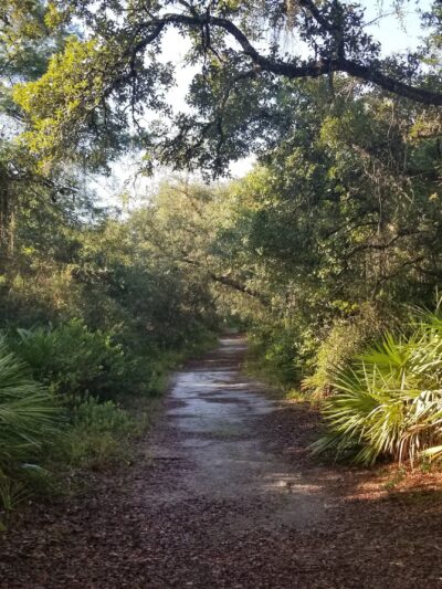 Geneva Wilderness Area Trailhead - Geneva, FL