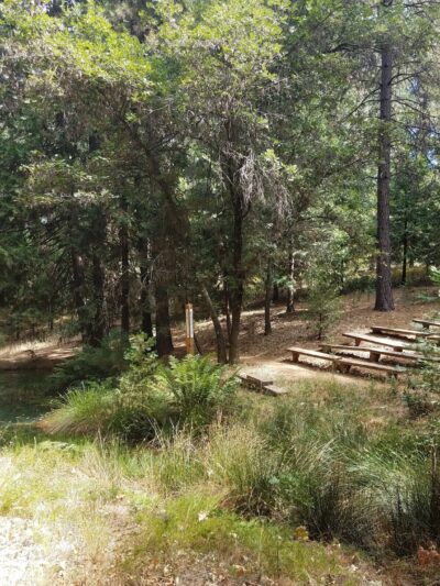 Georgetown Nature Area - Georgetown, CA