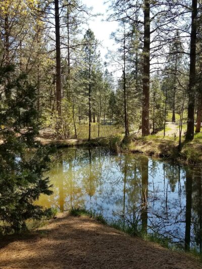Georgetown Nature Area - Georgetown, CA
