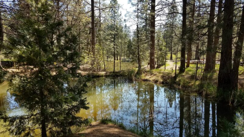 Georgetown Nature Area - Georgetown, CA