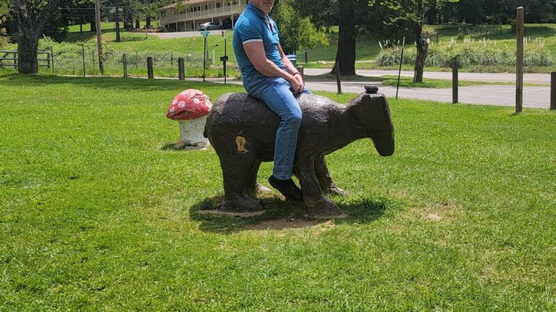 Georgetown Park - Georgetown, CA