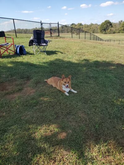 Scott County Dog Park - Georgetown, KY