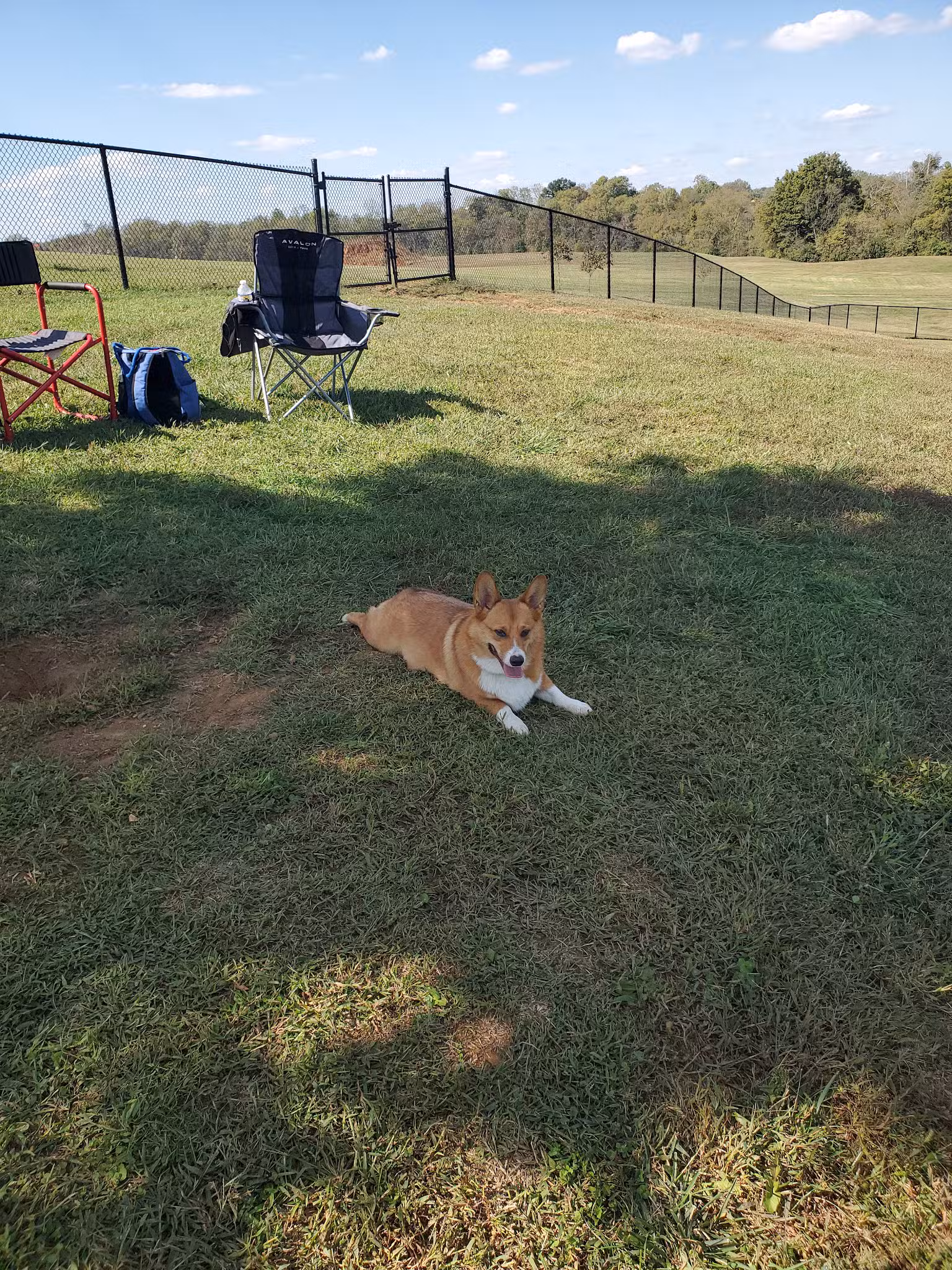 Scott County Dog Park - Georgetown, KY