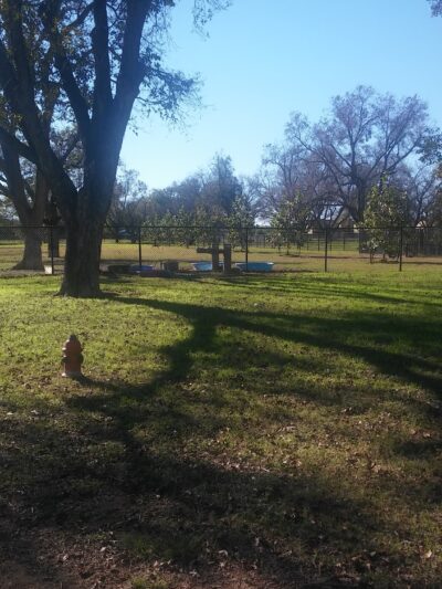 Bark Park - Georgetown, TX