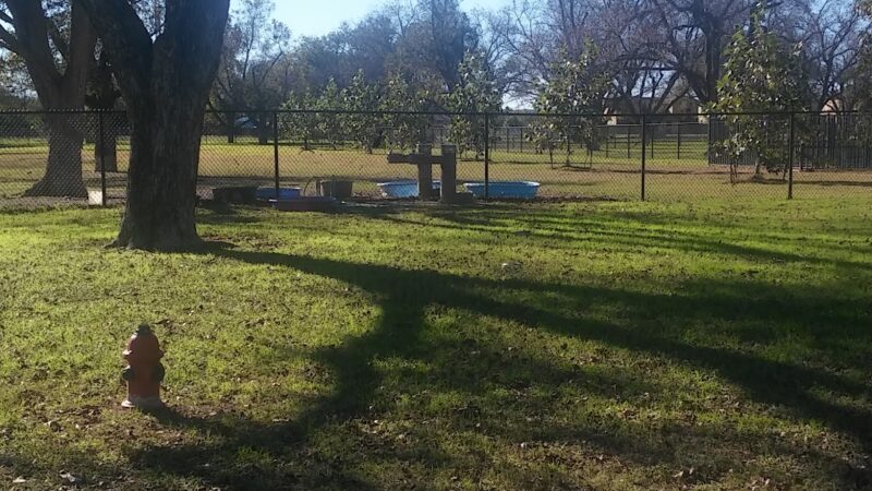Bark Park - Georgetown, TX