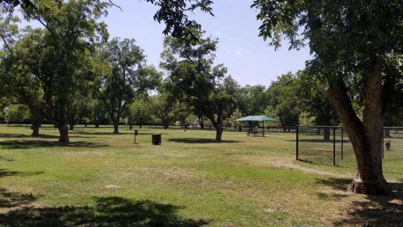 Bark Park - Georgetown, TX