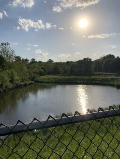 Clearspring Local Park - Germantown, MD