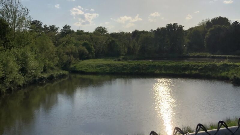 Clearspring Local Park - Germantown, MD